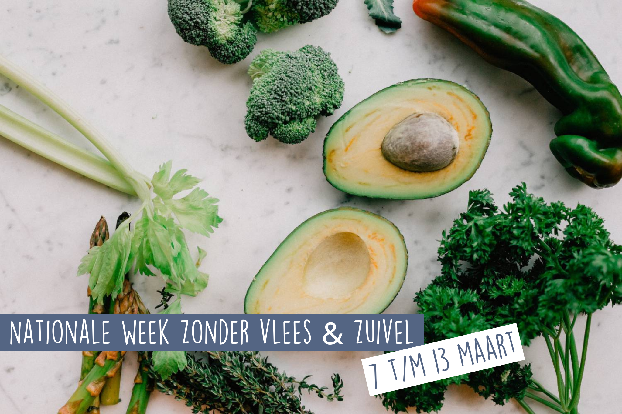 Read more about the article Nationale Week Zonder Vlees & Zuivel – 7 t/m 13 maart 2022