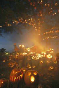 Halloween: een gruwelijk spannend en lekker feest 14