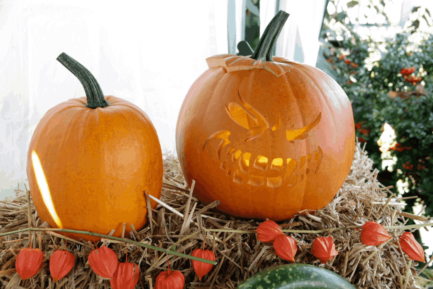 Lees meer over het artikel Halloween: een gruwelijk spannend en lekker feest